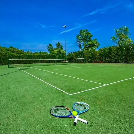 Villa Mirna Svetvinčenat